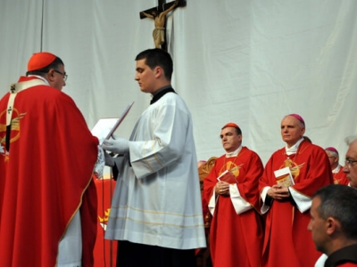 Zamolba kardinala Puljića za početak čina beatifikacije Drinskih mučenica