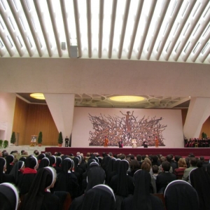 Photo (12)