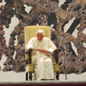 Photo (14)