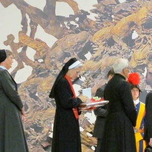 Photo (15)