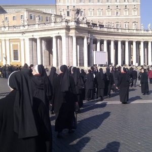 Photo (28)
