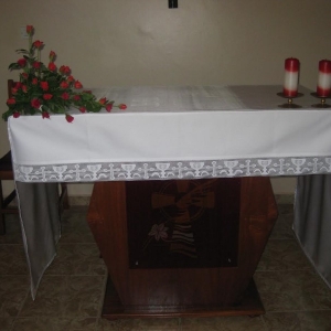 Proslava (10)