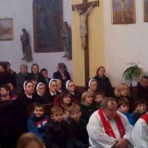Veliki grdevac (3)