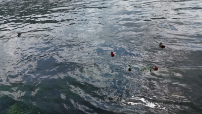 Img-20190408-wa0027 (custom)