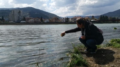 Img-20190408-wa0055 (custom)