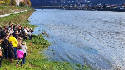 Drina 10 11 2019 (custom)